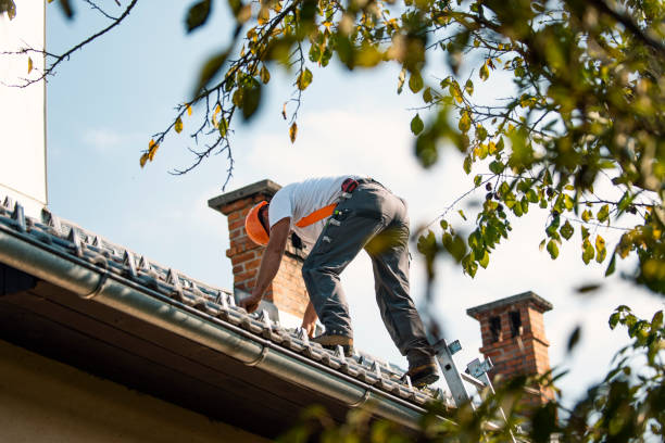 Best Local Roofing Companies  in Jonesboro, IL